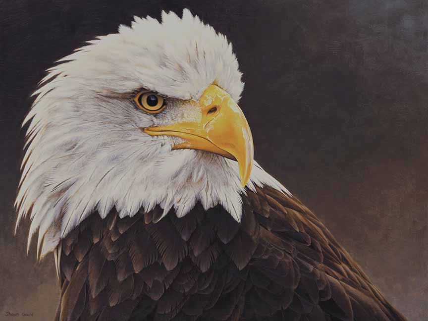 SG – Fierce and Free © Shawn Gould