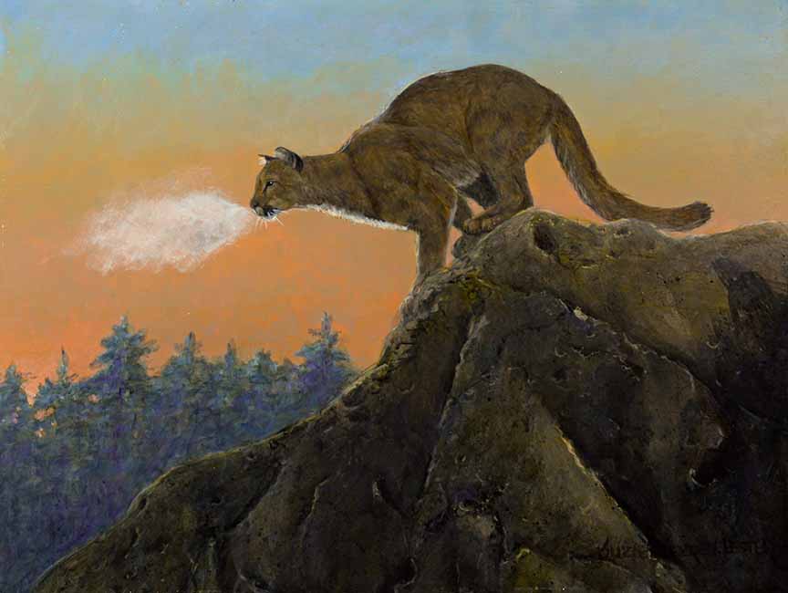 Twilight Alert Final