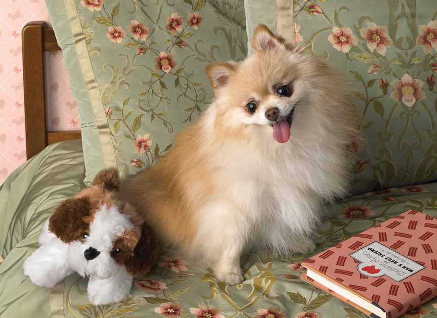 CHIC – Bedtime 85008 © Cobble Hill Puzzle Company