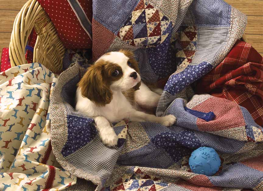 CHIC – Laundry Day 80542 © Cobble Hill Puzzle Company