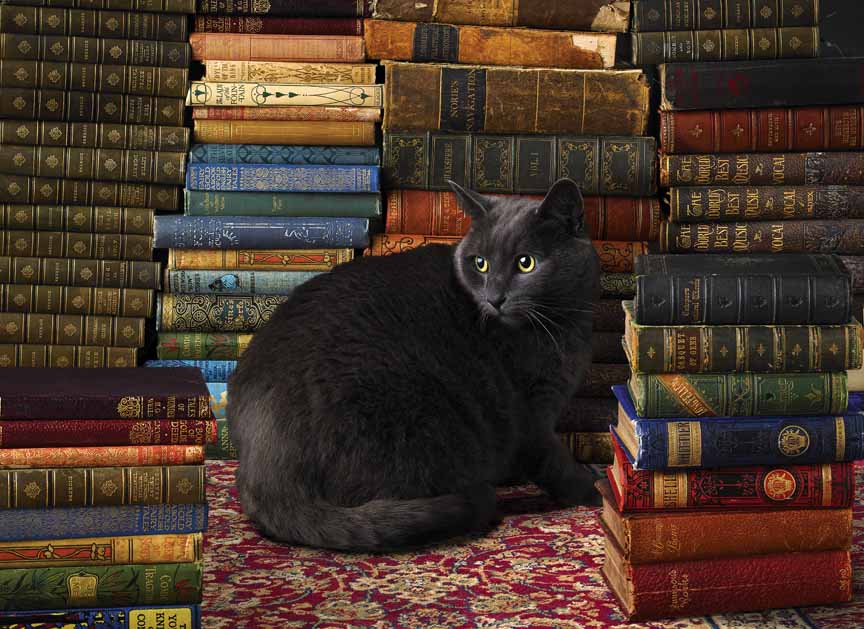 CHIC – Library Cat 80124 © Cobble Hill Puzzle Company