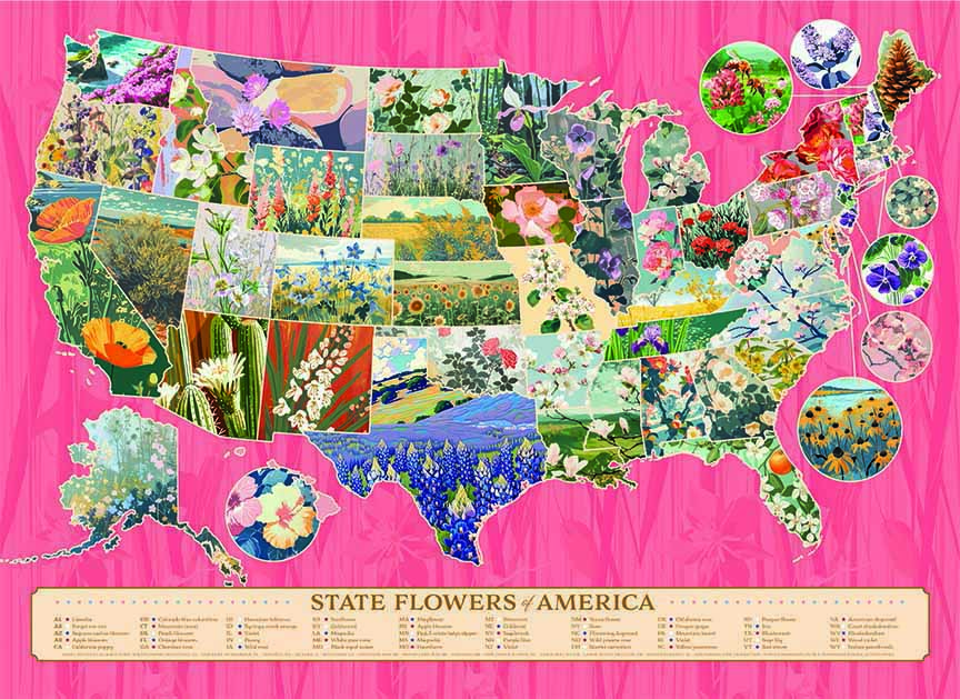 CHIC – State Flowers Board by Cobble Hill Puzzle Company