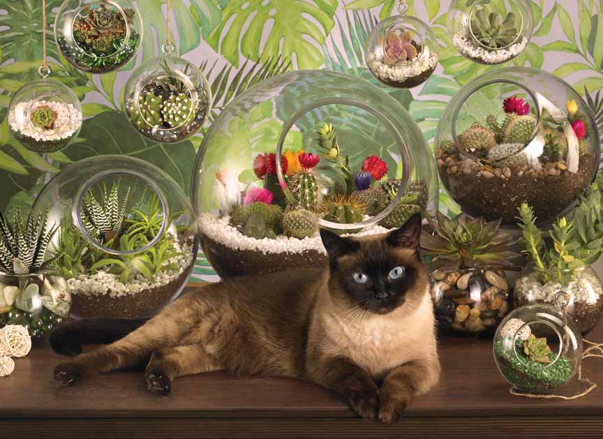 CHIC – Terrarium – Cat 80049 © Cobble Hill Puzzle Company