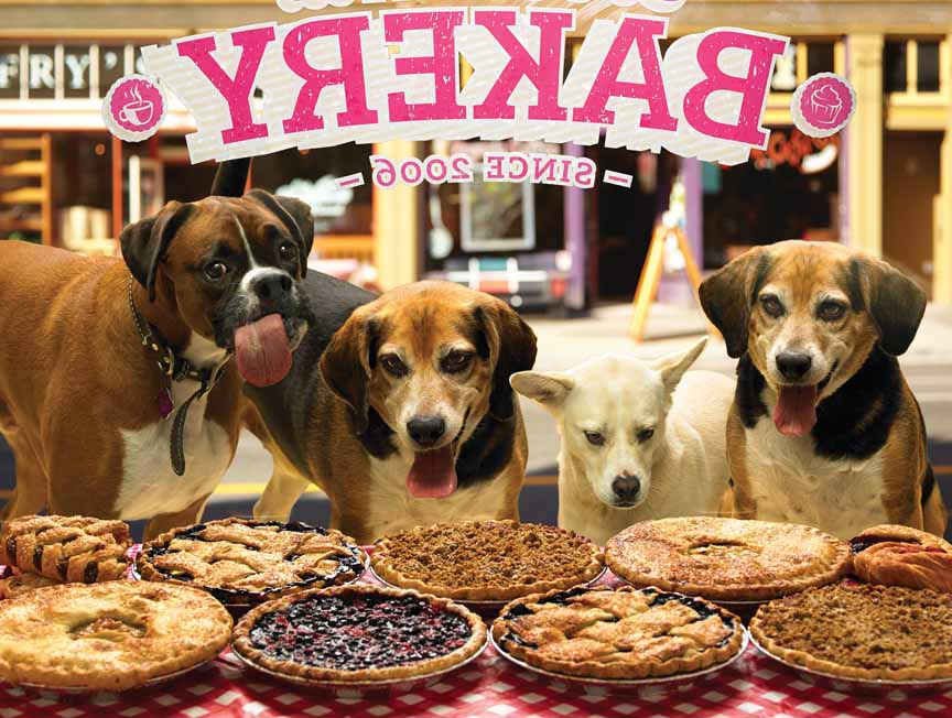 CHIC – Who Wants Pie 52092 © Cobble Hill Puzzle Company