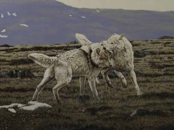 Wolves Roughhousing AC - Rough Housing © Audrey Casey - Ansada Licensing Group