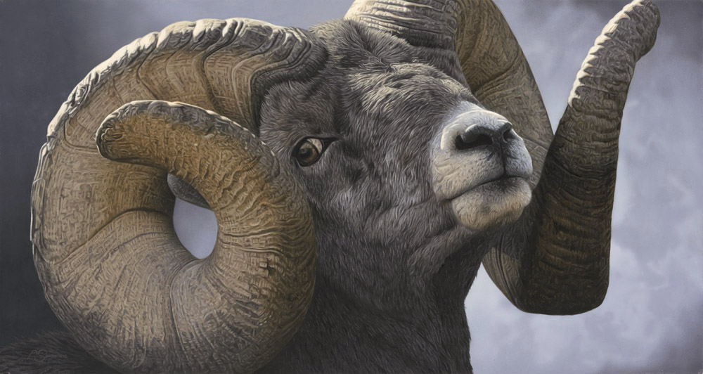 AS – 1North American – Record Ram © Adam Smith