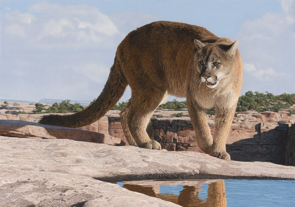 AS – 1North American – Rimrock Patrol © Adam Smith