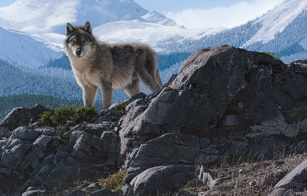 AS – 1North American – The Highlander © Adam Smith