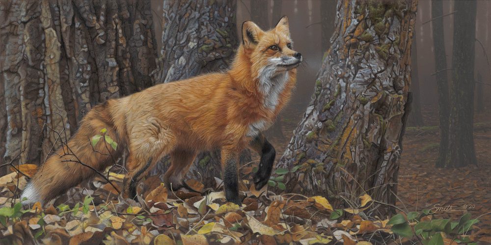 DS – Autumn Excursion © Daniel Smith