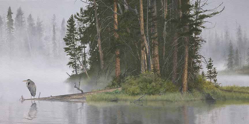 MK – Silvanus Dreams © Mark Kelso