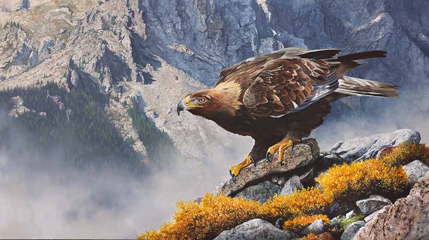 MK – The Edge of Ascension © Mark Kelso