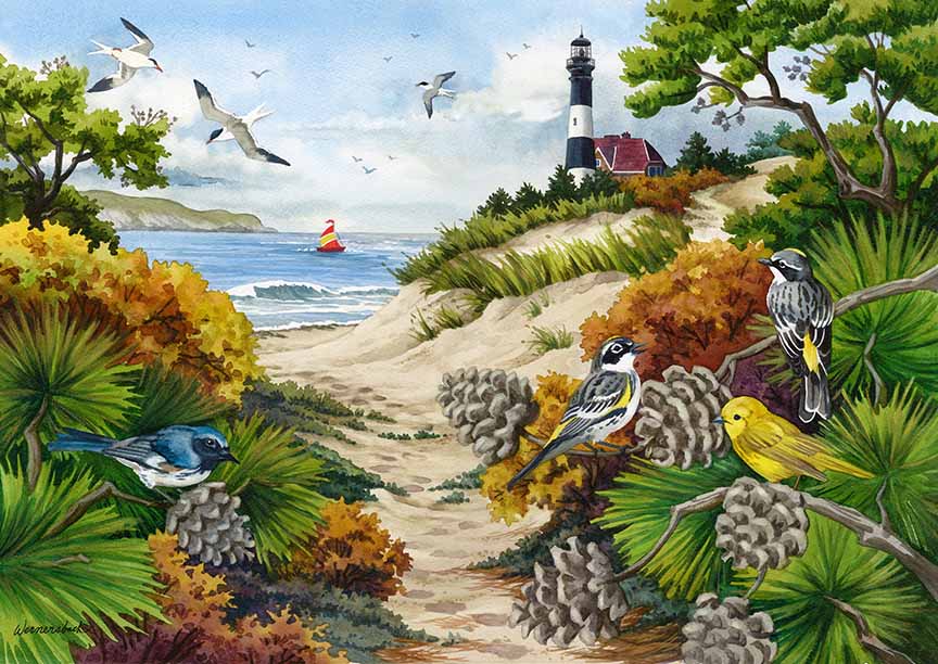 NW – A Walk Through The Dunes 0904 © Nancy Wernersbach