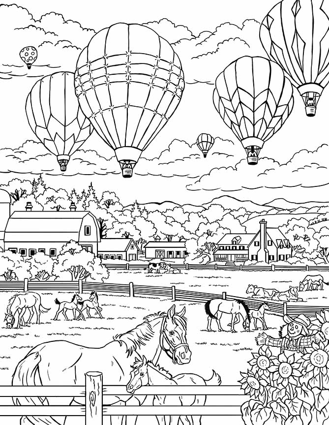 NW – zINK Balloons Over The Fields 1625 © Nancy Wernersbach