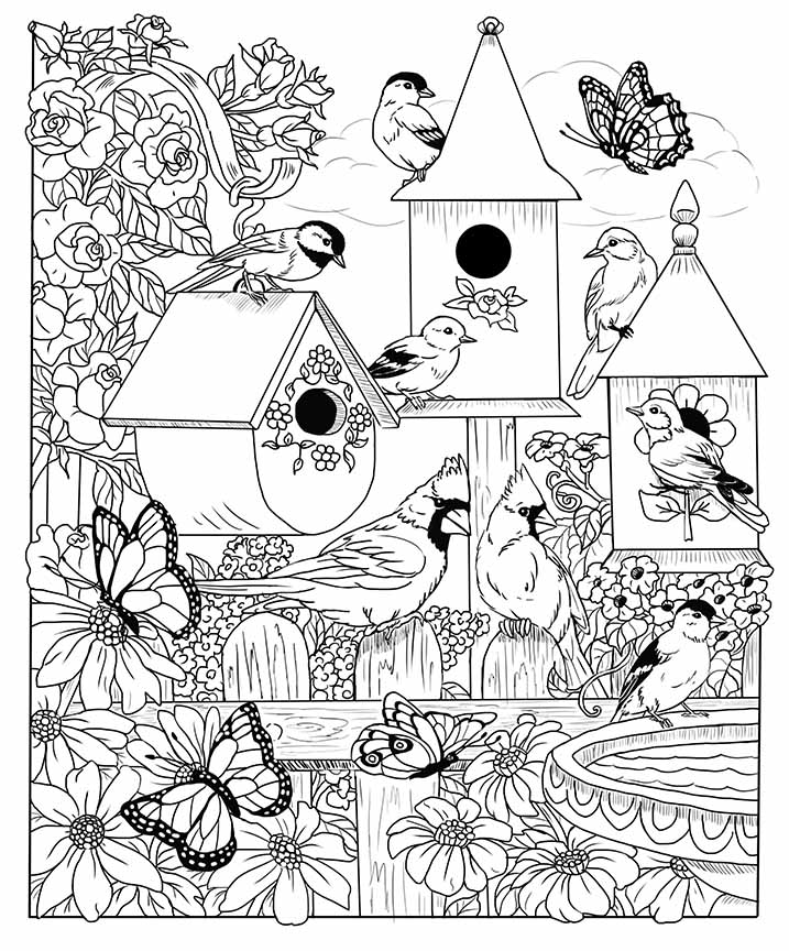 NW – zINK Bird Heaven 1621 © Nancy Wernersbach