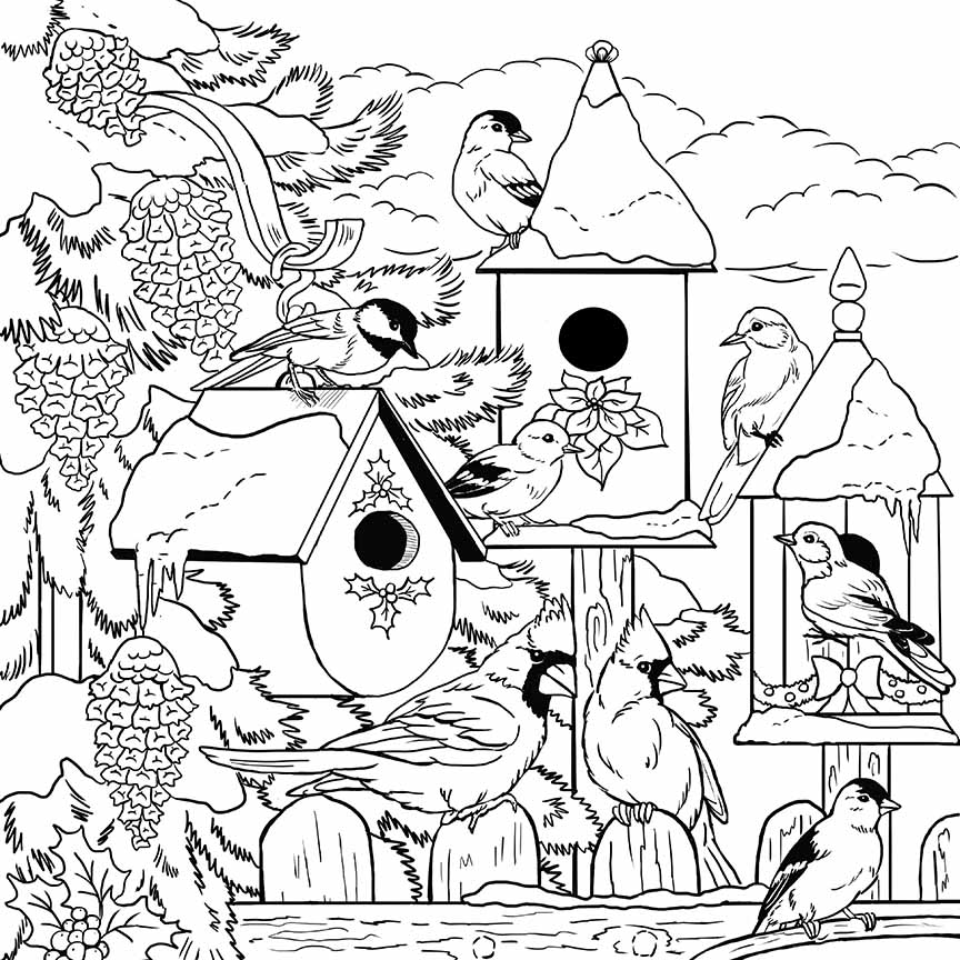 NW – zINK Birds Winter Heaven 1628A © Nancy Wernersbach