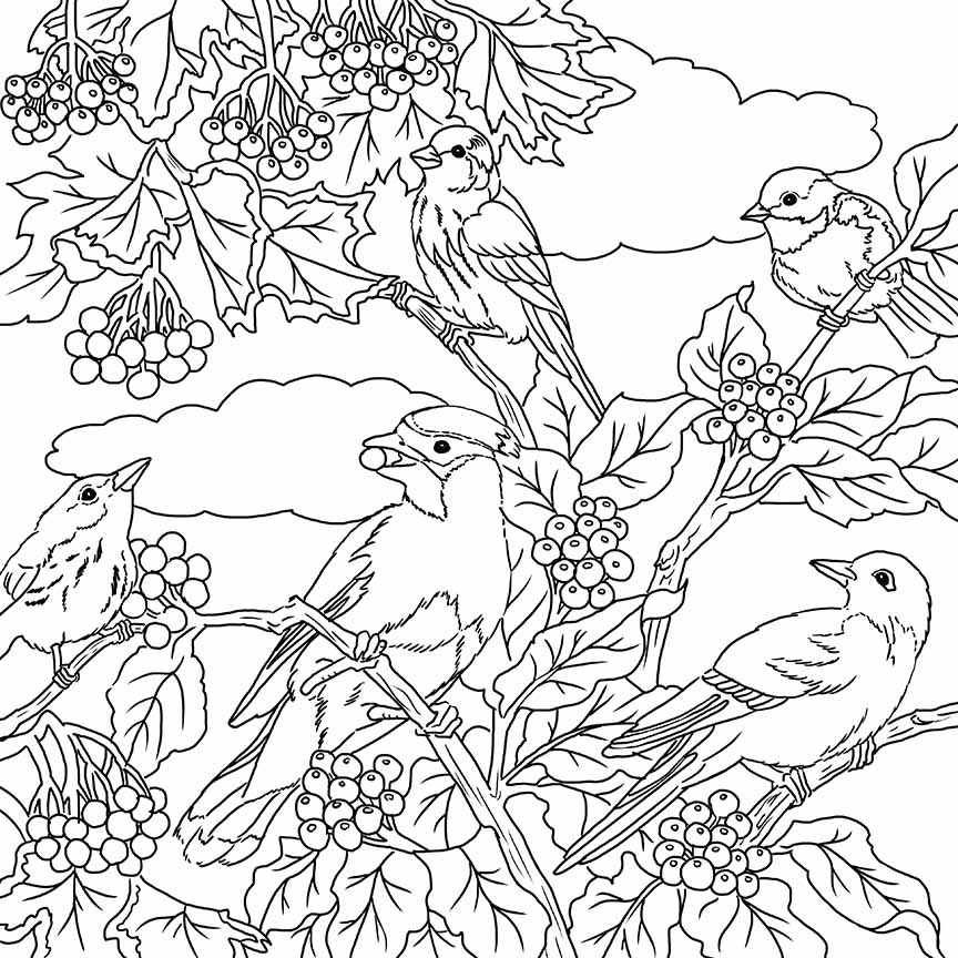 NW – zINK Birds and Berries 1303A © Nancy Wernersbach