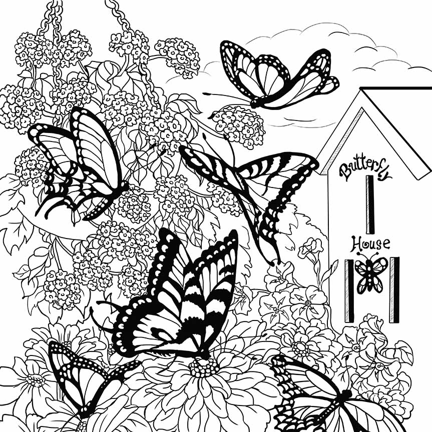 NW – zINK Butterfly Garden 1620 © Nancy Wernersbach