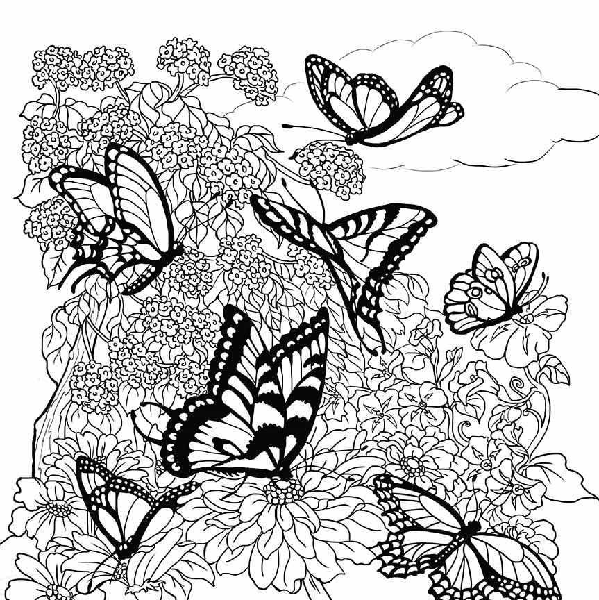 NW – zINK Butterfly Garden 1620C © Nancy Wernersbach