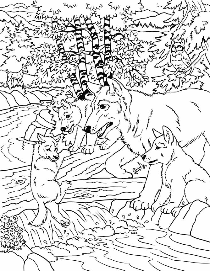 NW – zINK Rite of Passage 1634 © Nancy Wernersbach