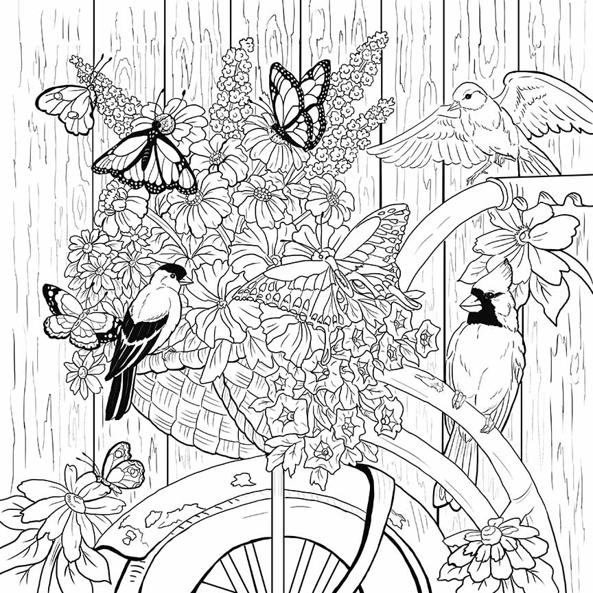 NW – zINK The Old Bicycle And Friends 1623A © Nancy Wernersbach