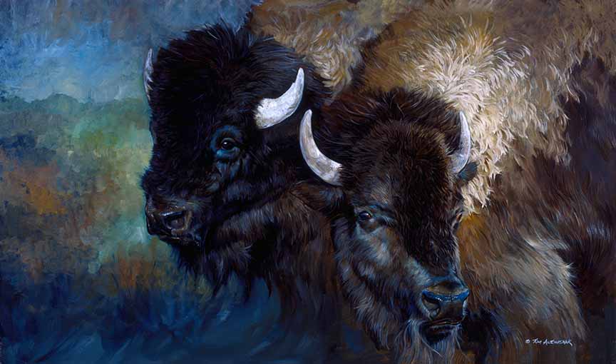 TA – Wildlife – Buffalo Pair 13 © Tom Antonishak