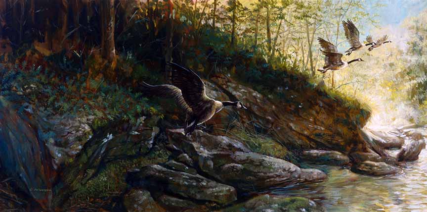 TA – Wildlife – Four Geese 14 © Tom Antonishak