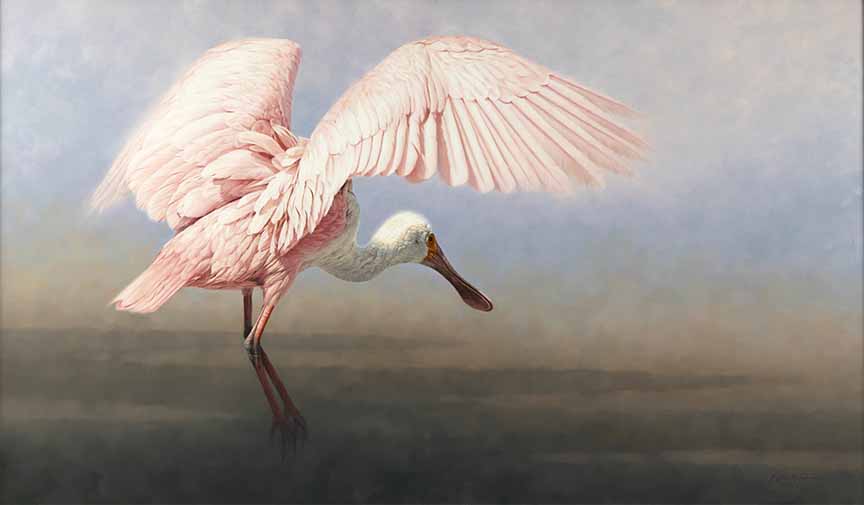 KM2 – Alight – Roseate Spoonbill © Krystii Melaine