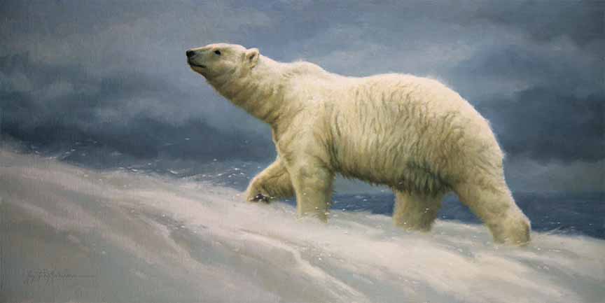 KM2 – An Icy Wind – Polar Bear © Krystii Melaine