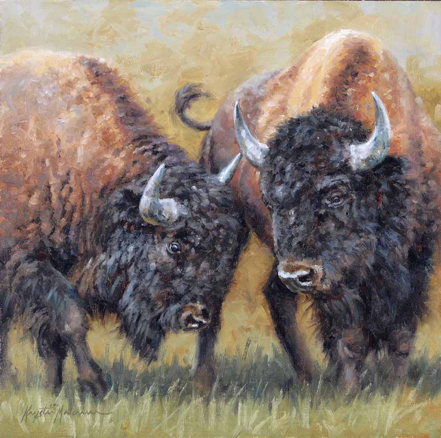 KM2 – Buffalo Boys © Krystii Melaine