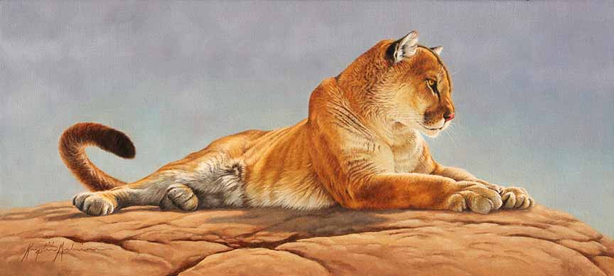 KM2 – Catamount – Mountain Lion © Krystii Melaine