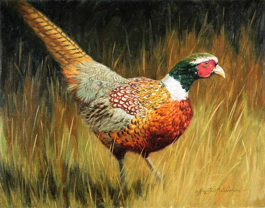 KM2 – Close to Cover Pheasant © Krystii Melaine