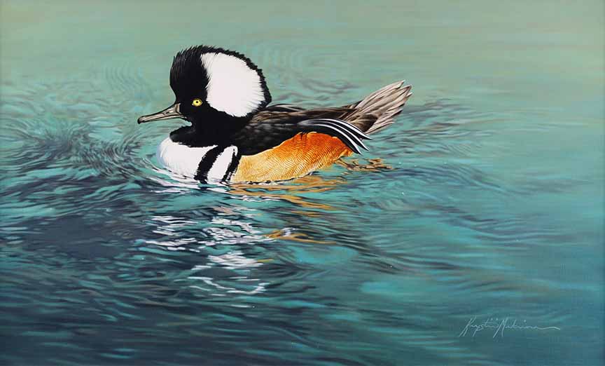 KM2 – Deeper Water – Hooded Merganser © Krystii Melaine