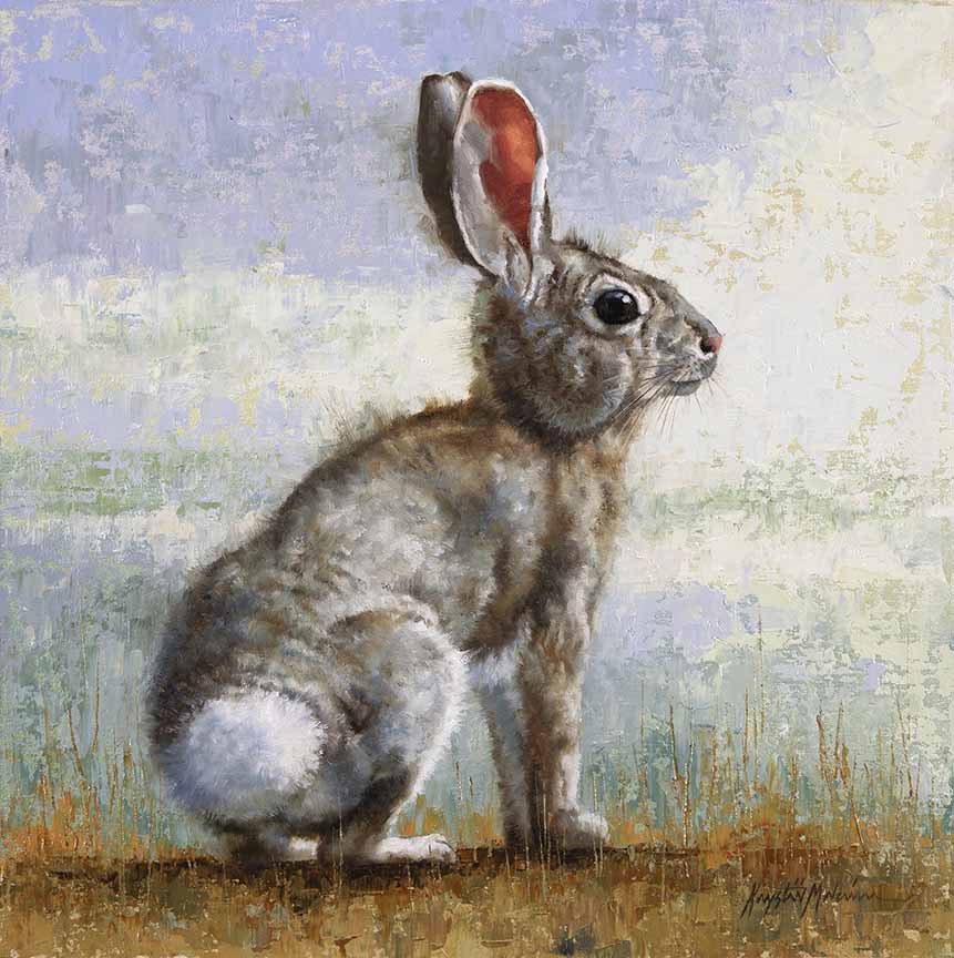 KM2 – Desert Cottontail © Krystii Melaine