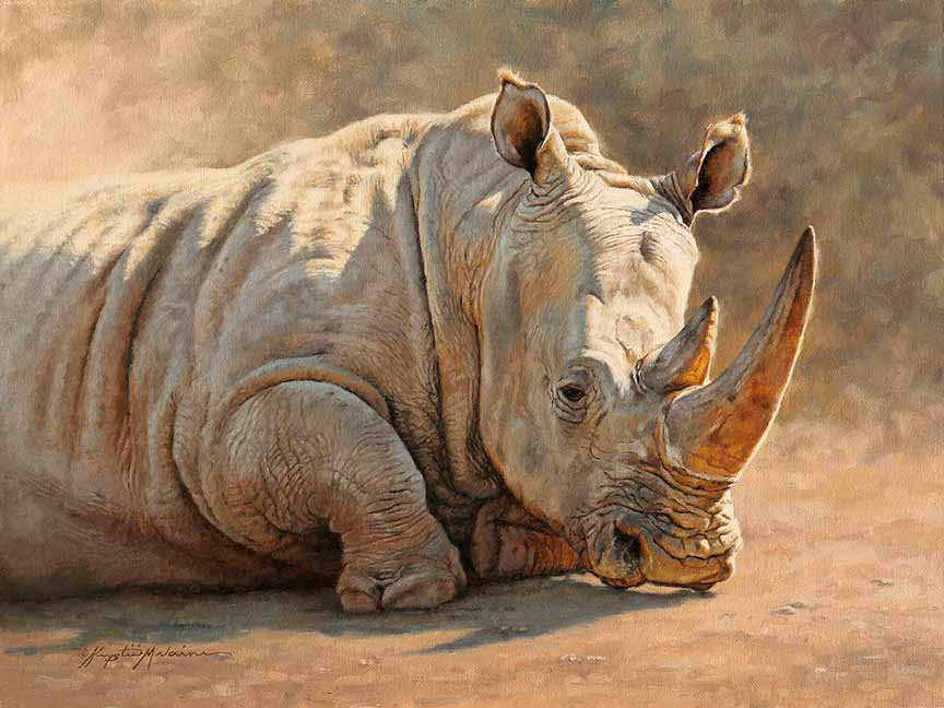 KM2 – Down Time – White Rhino © Krystii Melaine
