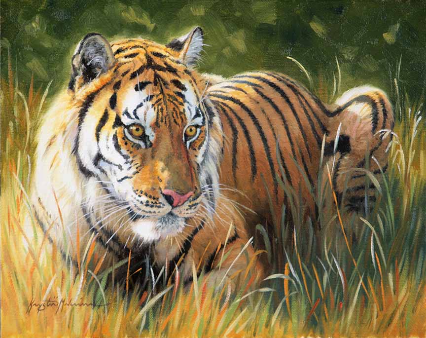 KM2 – Ever Watchful – Tiger © Krystii Melaine