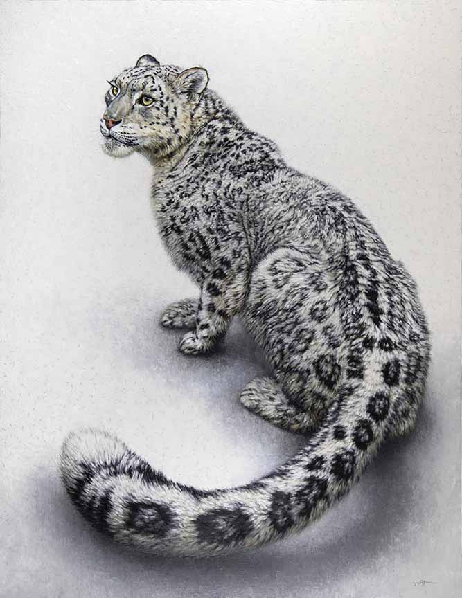 KM2 – Ghost of the Mountains – Snow Leopard © Krystii Melaine