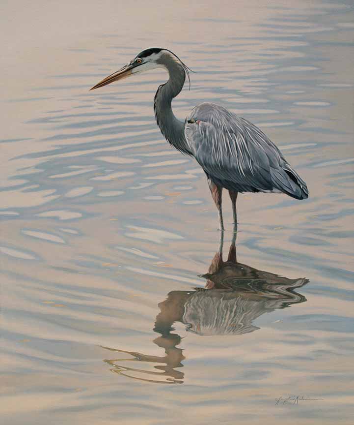 KM2 – Great Blue Heron © Krystii Melaine