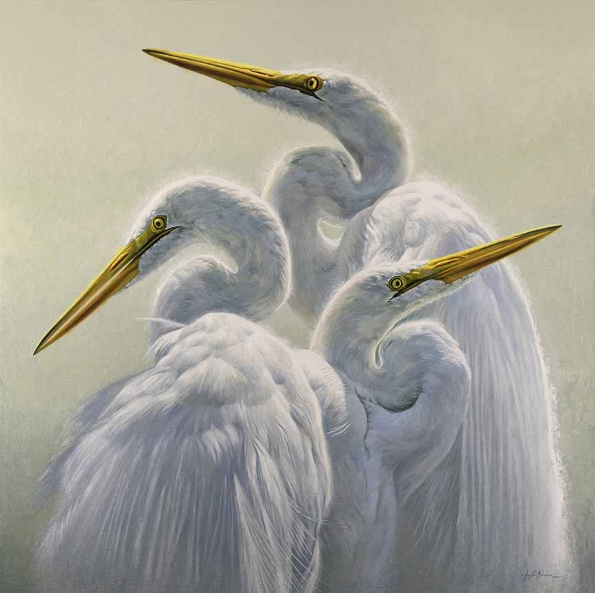 KM2 – Great Egrets © Krystii Melaine