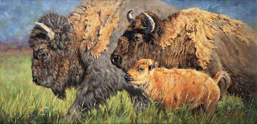 KM2 – Gros Ventre Summer © Krystii Melaine