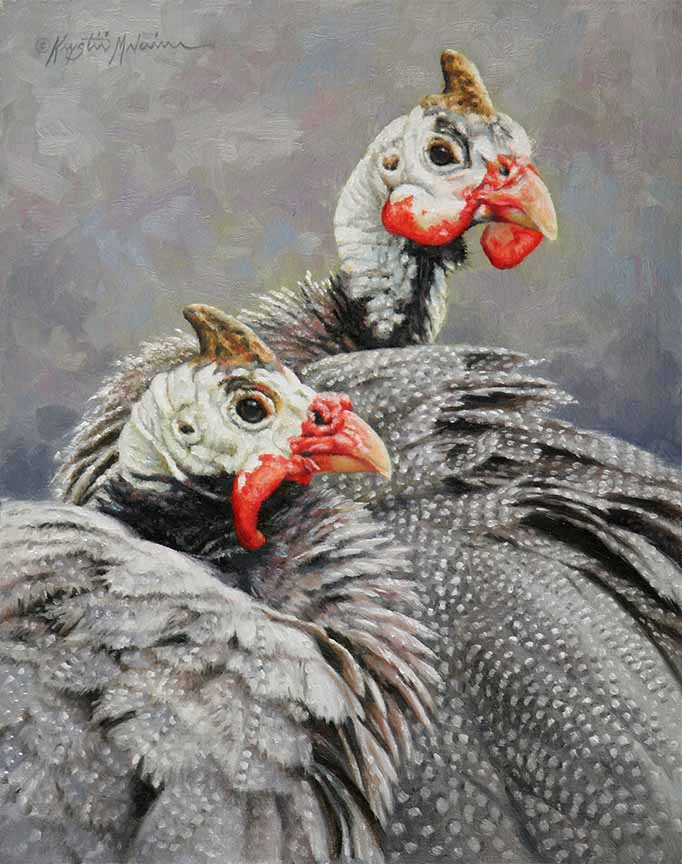 KM2 – Guinea Galoots © Krystii Melaine