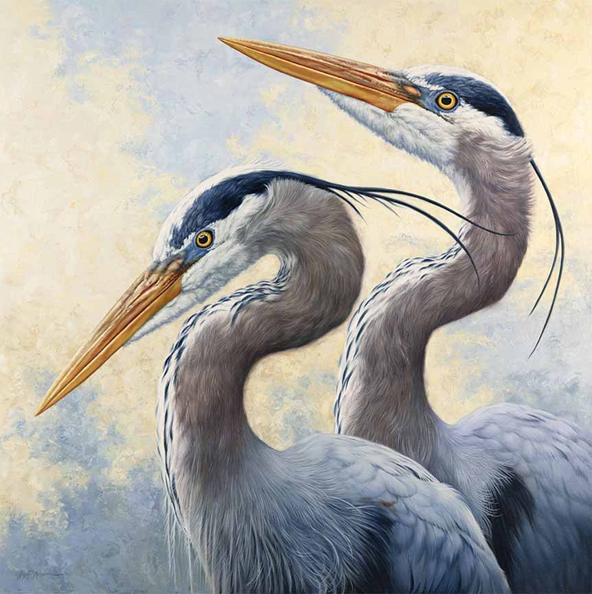 KM2 – Heron Harmony © Krystii Melaine
