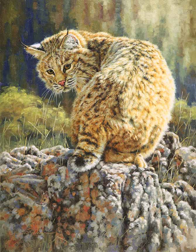 KM2 – Hes Behind You – Bobcat #1062 © Krystii Melaine
