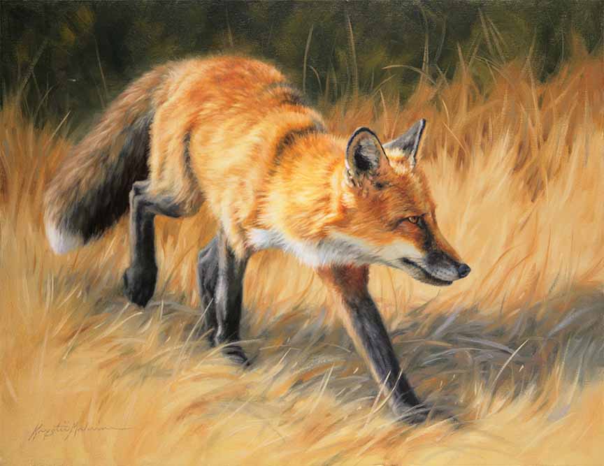 KM2 – Hide & Seek © Krystii Melaine