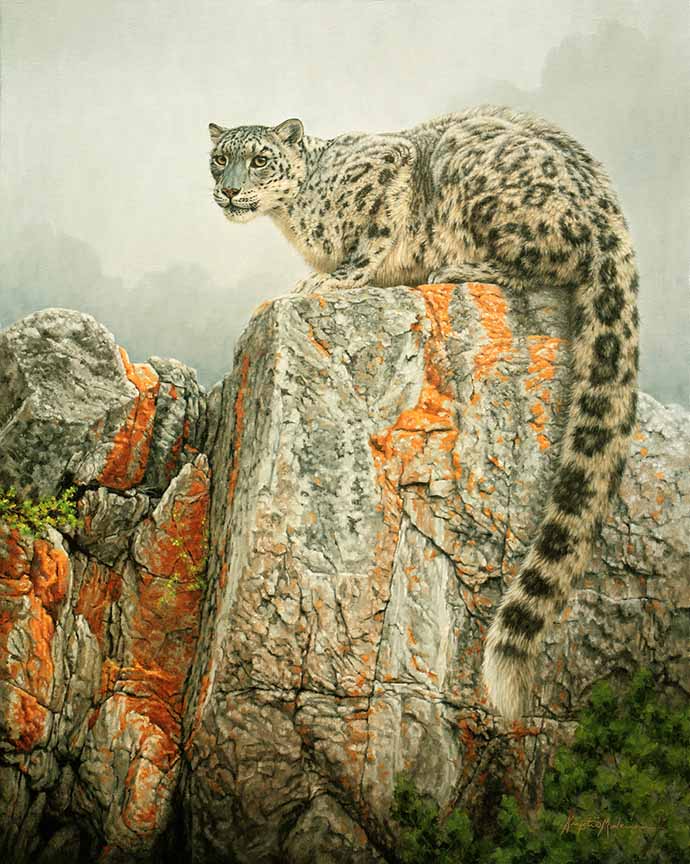 KM2 – Himalayan Princess – Snow Leopard © Krystii Melaine