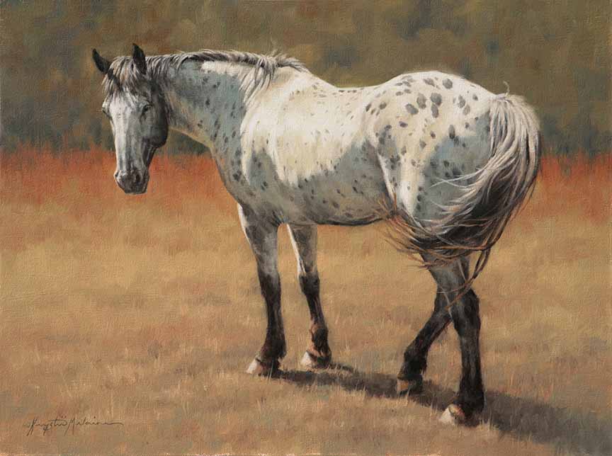 KM2 – Horses – A Spot of Sun © Krystii Melaine
