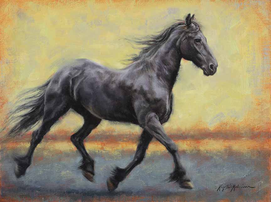 KM2 – Horses – Black Horse I LIghtfoot © Krystii Melaine