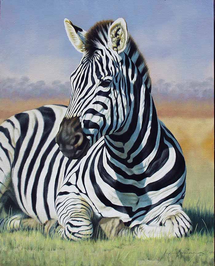 KM2 – King of his Domain – Zebra © Krystii Melaine