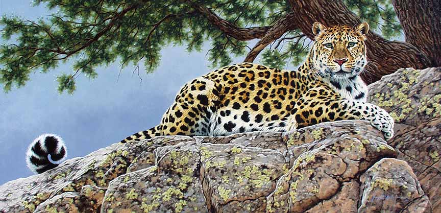 KM2 – Lair of the Cat – Leopard © Krystii Melaine
