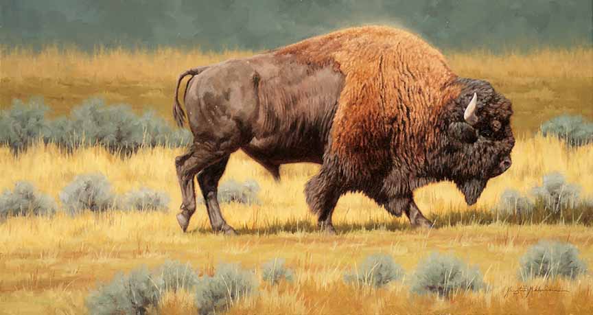KM2 – Leaving Yellowstone © Krystii Melaine