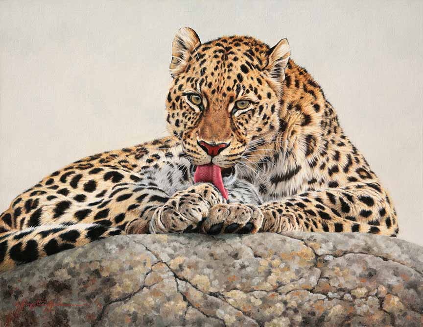 KM2 – Leopard Pedicure © Krystii Melaine